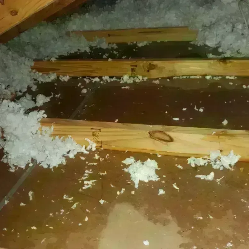 Attic Water Damage in Kahaluu-Keauhou, HI